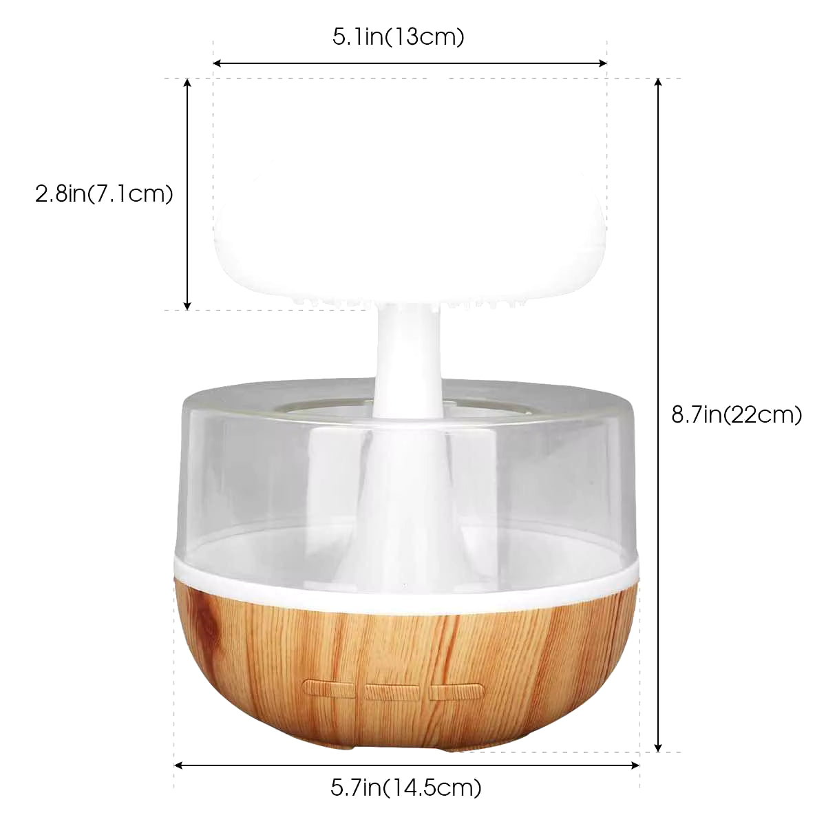 Rain Cloud Humidifier  