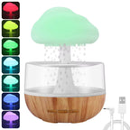 Rain Cloud Humidifier  
