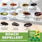 Moonspry Roach Repellent, Domestic Dormitory Kitchen Powerful Cleaning Cockroach Exterminator Cockroach Gel Bait Pest Control Kit Rodent Repellent Pouches for Indoor & Outdoor Multi-Surface Microfiber Floor Mop Roach Killer Indoor Infestation