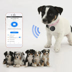 Real-Time Magnetic Anti-Theft GPS Tracker for Vehicles, Pets, and Individuals